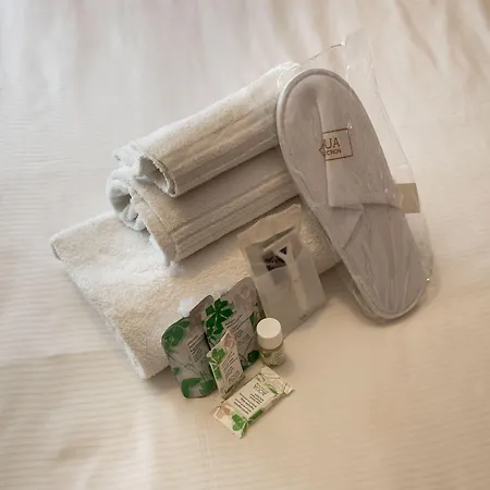 게스트하우스 Bq House Trevi Luxury 3*